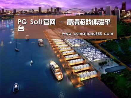 案例展示八