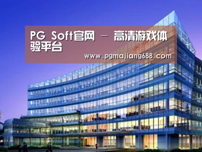 案例展示五