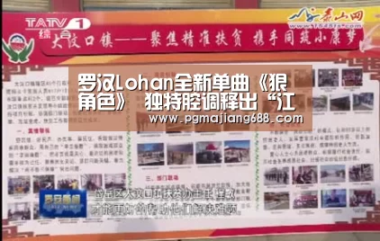 PG麻将登录入口