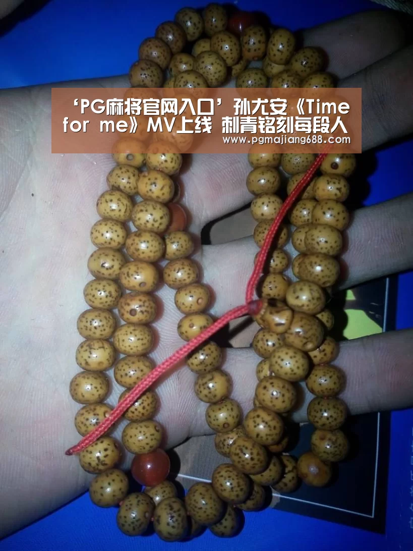PG麻将登录入口