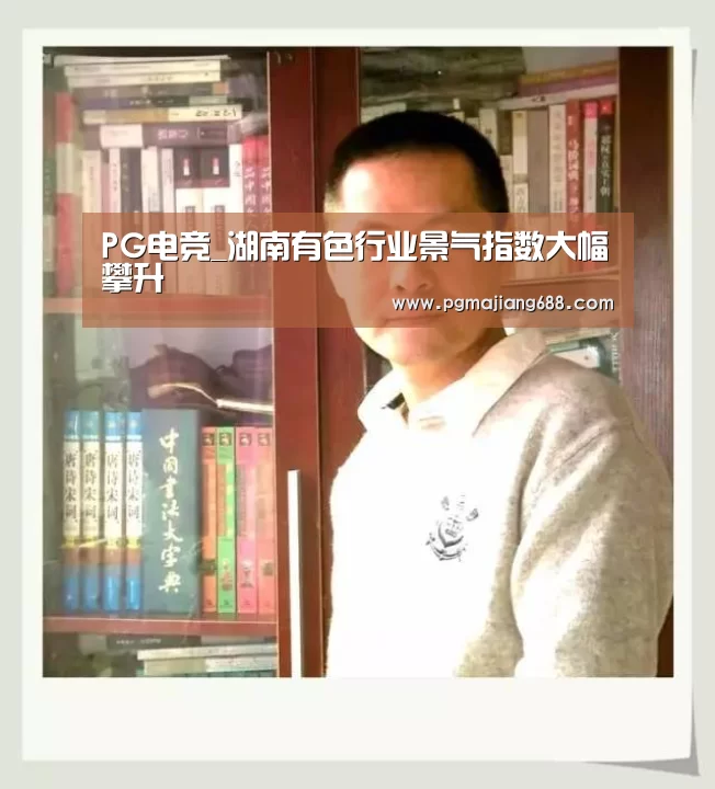 PG电竞_湖南有色行业景气指数大幅攀升(图4) PG电竞