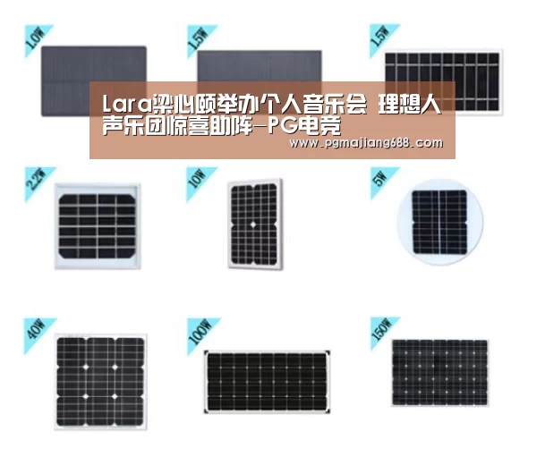 PG麻将官网入口