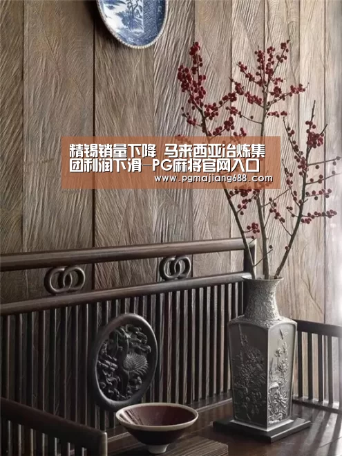 PG麻将登录入口
