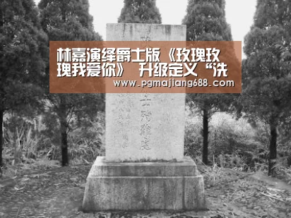 林嘉演绎爵士版《玫瑰玫瑰我爱你》 升级定义“洗脑神曲”|PG Soft官网(图2) PG Soft官网