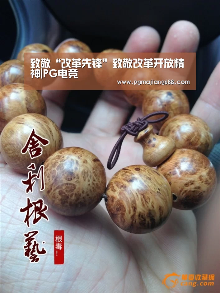 致敬“改革先锋”致敬改革开放精神|PG电竞(图1) PG麻将登录入口