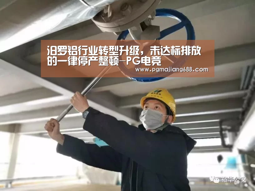 PG麻将登录入口