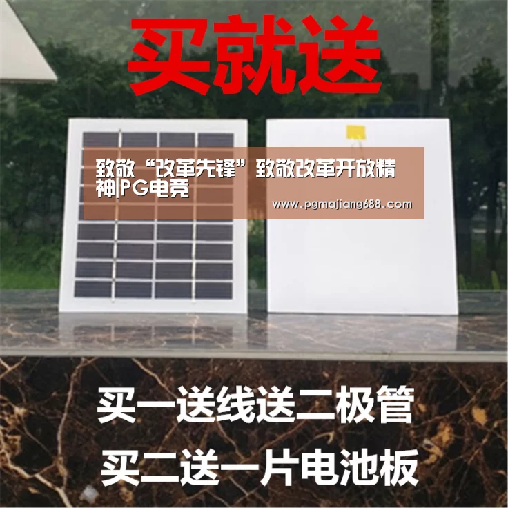 致敬“改革先锋”致敬改革开放精神|PG电竞(图3) PG麻将登录入口