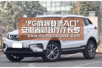 ‘PG麻将登录入口’安徽省财政厅厅长罗建国到铜陵有色调研(图1) PG麻将登录入口