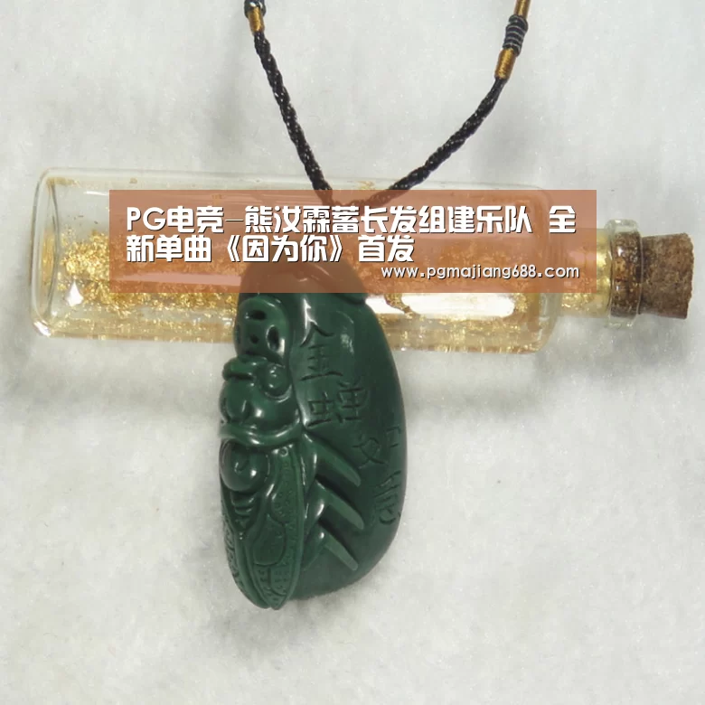 PG麻将登录入口