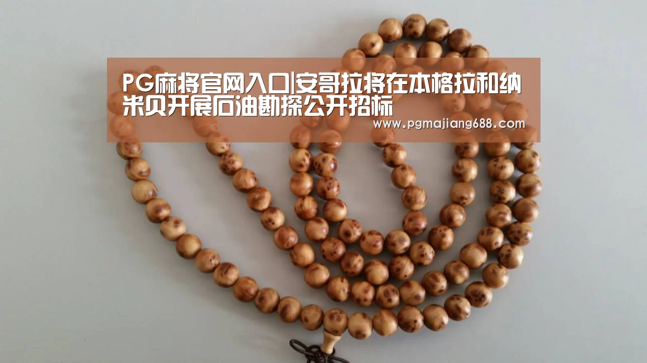 PG麻将登录入口