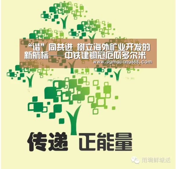 “谐”同共进 树立海外矿业开发的新航标——中铁建铜冠厄瓜多尔米拉多铜矿建设之歌‘PG麻将登录入口’(图3) PG麻将登录入口