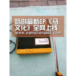 PG麻将登录入口