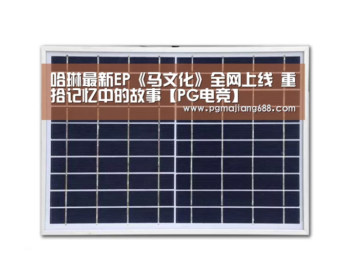 PG麻将官网入口