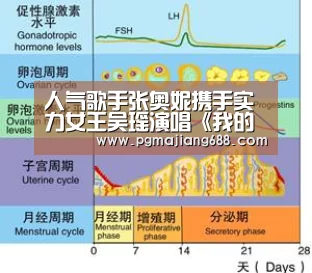 人气歌手张奥妮携手实力女王吴瑶演唱《我的姐妹》正式上线|PG Soft官网(图1) PG电竞