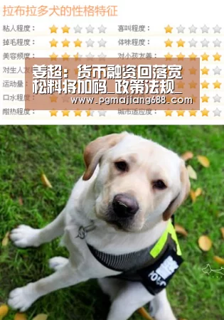 姜超:货币融资回落宽松料将加码_政策法规_新闻_矿道网【PG麻将登录入口】(图2) PG电竞