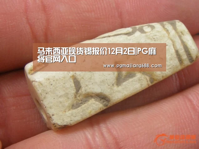 PG麻将官网入口