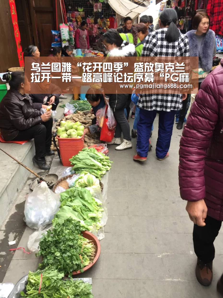 PG麻将登录入口