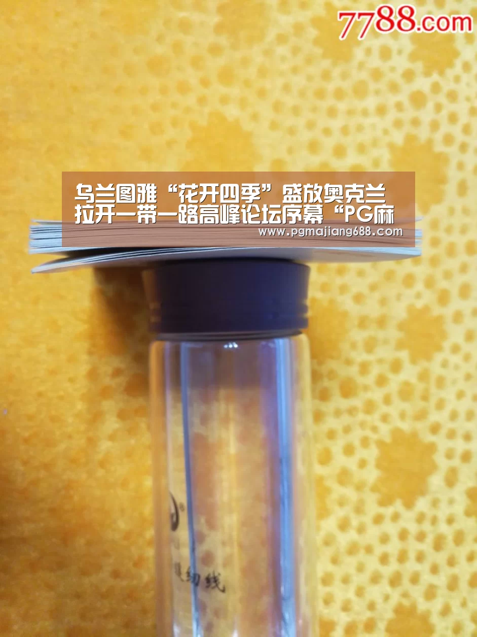 PG麻将登录入口