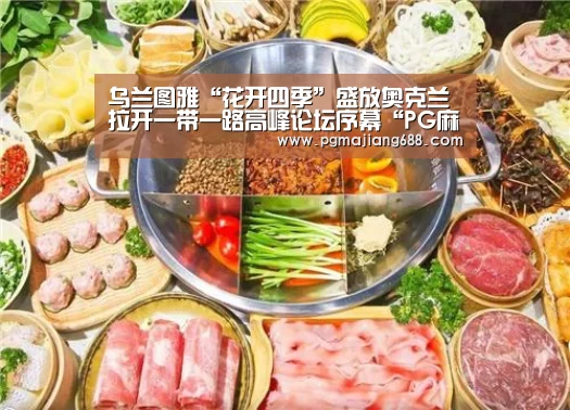 PG麻将登录入口